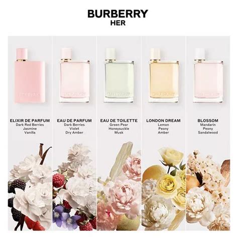 what are the notes in burberry perfume|Burberry for women perfume notes.